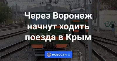 Встреча двух Дедов Морозов: в Воронеж прибыл поезд зимнего волшебника |  36on.ru