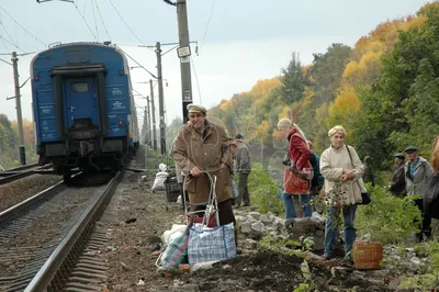 Вакансия Специалист по регистрации актов гражданского состояния (ТО ЗАГС  Железнодорожного района г. Воронежа) в Воронеже, работа в компании  Управление ЗАГС Воронежской области (вакансия в архиве c 12 августа 2022)