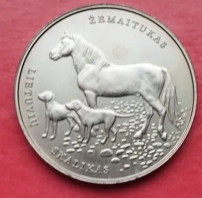 Картинка Жемайтской лошади в природной среде