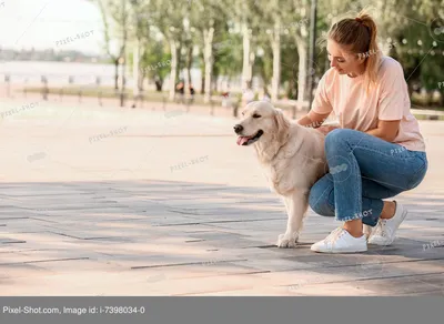 Симпатичная Девушка С Собакой Идет По Сельской Дороге. Фотография,  картинки, изображения и сток-фотография без роялти. Image 84319827