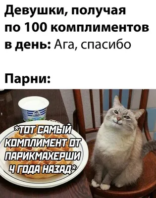 ЛУЧШИЙ ЖЕНСКИЙ ЮМОР ЛЖЮ (@best4women) • Instagram photos and videos