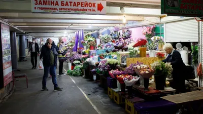 https://novosibirsk.bezformata.com/listnews/den-krasivaya-vistavka-i-bal/128734459/