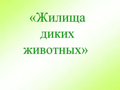 В Белгородском районе открыли приют для бездомных животных