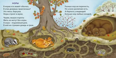 Книжки - картонки (бол). Удивительные дома животных - купить с доставкой по  Москве и РФ по низкой цене | Официальный сайт издательства Робинс