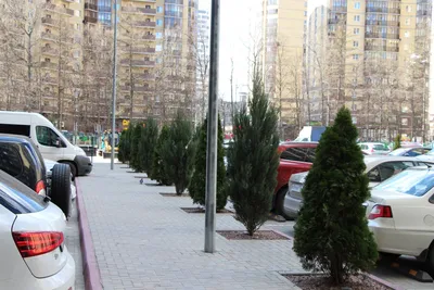 Жилой комплекс «Олимпийский» в Воронеже