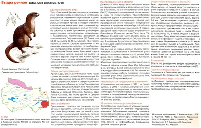 КРАСНАЯ КНИГА - СПИСОК ЖИВОТНЫХ НОВОСИБИРСКОЙ ОБЛАСТИ