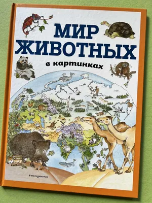 Дошкольное развитие ребенка: как выбрать и использовать картинки животных  для детей | В мире детей | Дзен