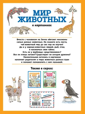 О создании интернет-площадки «Животный мир» | Администрация Городского  округа Подольск