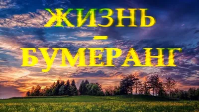 этноспб #бумеранг #жизнь | Уроки жизни, Мудрые цитаты, Цитаты