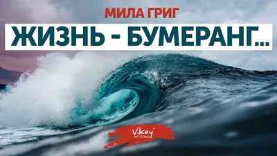 Жизнь - бумеранг. К тому и ведётся: что... | Интересный контент в группе  Все это наша жизнь ( жизненные статусы)