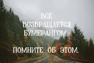 💥Жизнь - бумеранг. 💥 К тому и ведётся: что отдаёте, то и вернётся. 💥То,  что посеешь, то и пожнёшь, ложью пробьётся.. | ВКонтакте