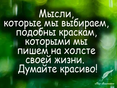 15 лучших цитат Омара Хайяма - Лайфхакер