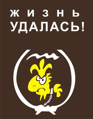 Жизнь Удалась - Ресторан, Кафе, Гостиничный комплекс, Бар Київ: Описание,  заказ столика, отзывы, акции | 3 место