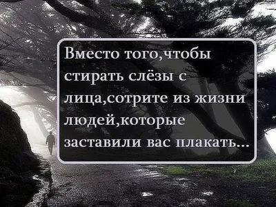 Самые красивые цитаты о жизни. Топ-30 на каждый день. Часть 3 | Глоток  Мотивации | Дзен