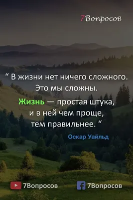 Красивые цитаты про любовь со смыслом | Глоток Мотивации | Дзен