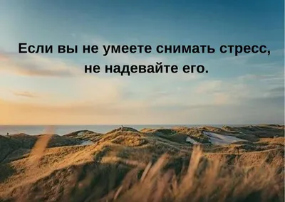 Конспирология «Барбоскиных». Теории, мемы и фанатское творчество о жизни  собачьей семьи — Статьи на Кинопоиске