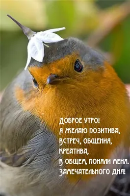 Пин от пользователя Иванова Нелли на доске высказывания | Мудрые цитаты,  Жизнеутверждающие цитаты, Правдивые цитаты