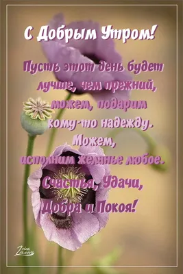 Сотвори свою реальность🌌 | Жизнеутверждающие мысли, Мысли