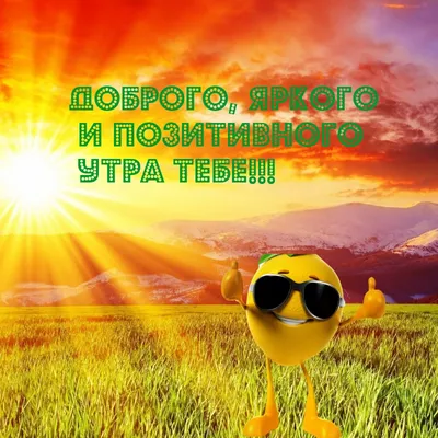 Новые веселые и жизнеутверждающие демотиваторы