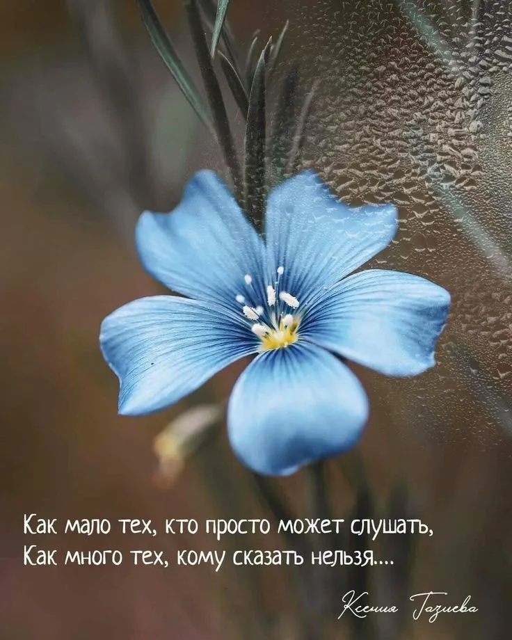 Жизнеутверждающие и пронзительные, яркие и душевные, картины достойные лучших выставочных залов - и все это первая персональная выставка… | Instagram Жизнеутверждающие и пронзительные, яркие и душевные, картины достойные лучших выставочных залов - и все это первая персональная выставка… | Instagram