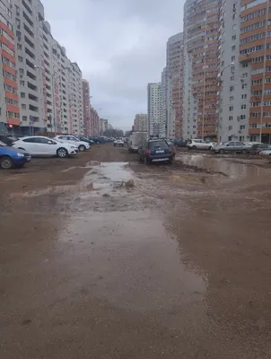 Снять квартиру в ЖК Ботанический в Самаре. Найдено 1 объявление.