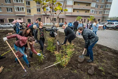 ЖК \"Екатерининский\" Ростов-на-Дону | Цены на квартиры в ЖК \"Екатерининский\"