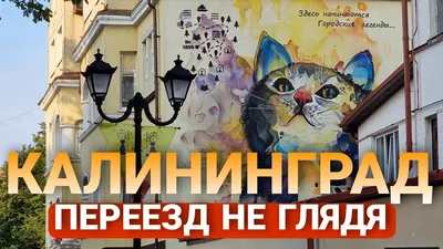 Купить 3-Комнатную Квартиру в жилом комплексе Цветной Бульвар (Калининград)  - 7 объявлений о продаже трехкомнатных квартир недорого: планировки, цены и  фото – Домклик