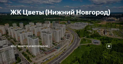 ЖК «Цветы» в Нижнем Новгороде: плюсы и минусы, стоимость жилья, ситуация с  транспортом - 5 сентября 2023 - nn.ru