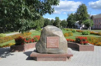 Купить обои для стен в городе Жуковка (Брянская область) с доставкой из  Москвы