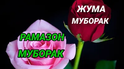 ЖУМА МУБОРАК БУЛСИН! ПЯТНИЦА... - Ezgu Amal - Благодеяние. | Facebook