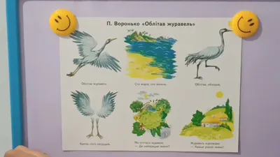 Стокове фото Червоновінцевий Журавель — Завантажте зображення зараз -  Журавель, Вертикальний формат зображення, Гребінець - iStock