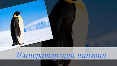 ᐉ Журнал детский Смайлик №1 январь 2022 года укр.