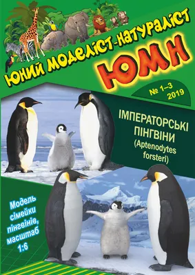 Журнал Pingouin