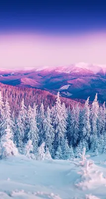 Красивые зимние картинки на телефон (69 фото) ⭐ Все мемы на одном сайте |  Iphone wallpaper winter, Winter wallpaper, Wallpaper iphone christmas