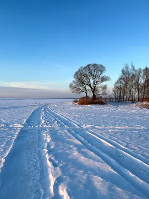 Природа. Зима. Закат. Деревня. Метель…» — создано в Шедевруме