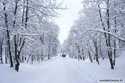 Зима на фото | 30 красивых зимних фотографий | Зимняя фотография, Сумерки,  Пейзажи