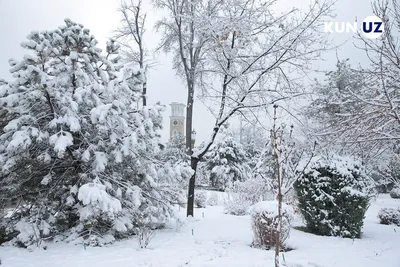 Россиянам предрекли мягкую зиму с большим количеством снега: Общество:  Россия: Lenta.ru