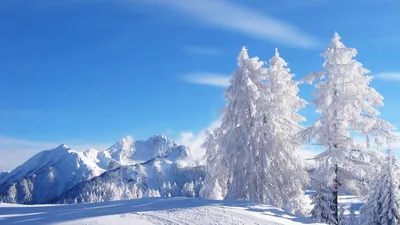 Какая погода будет этой зимой: прогноз погоды на декабрь, январь, февраль -  1 декабря 2023 - ФОНТАНКА.ру