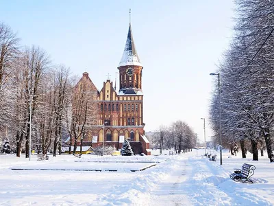 Зима в Калининграде фото фото