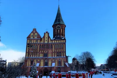 Winter weather in Kaliningrad. New attraction in Svetlogorsk - YouTube
