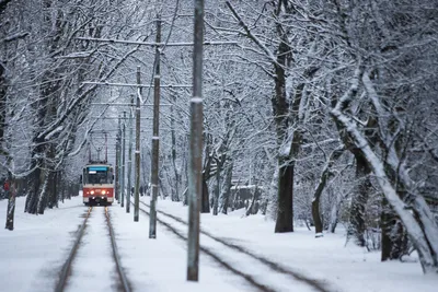 Какой будет первая половина зимы в Калининграде — РБК