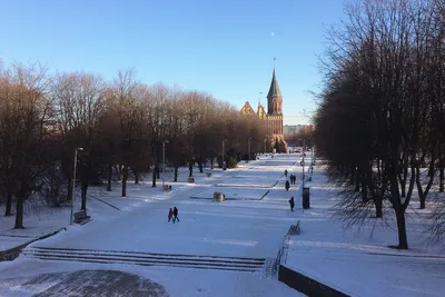 Погода в Калининграде в январе – ВИПавто
