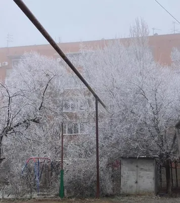 В Краснодаре началась зима