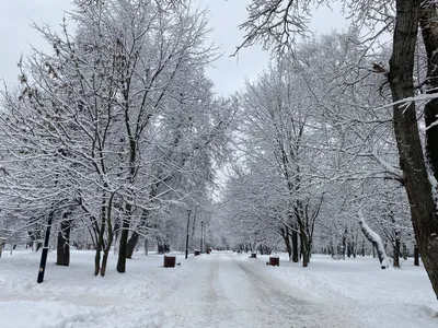 Куда сходить в Москве зимой?