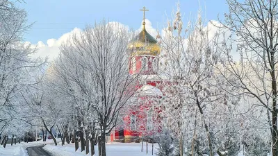 В Гидрометцентре рассказали, когда в Москву придет зима — прогноз погоды на  13—19 ноября — Сноб