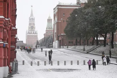 Иногда зима в Москве становится похожей на зимы в моем мурманском детстве.  Но так только пока на фотографии — уж слишком близка температура… |  Instagram