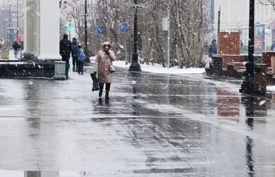 В Мурманске появилась «Полянка полярника» | Новости | Администрация города  Мурманска - официальный сайт