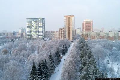 В Новосибирск пришла зима: 10 фото белого города