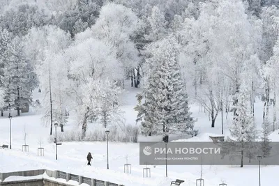 Фото и видео первого снега в Новосибирске 28 сентября 2022 года: дети  играют в снежки и лепят снеговиков - KP.RU