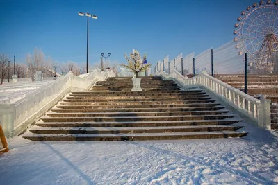 Топ-10 зимних развлечений в Новосибирске и пригороде – куда отправиться на  каникулах | VN.RU